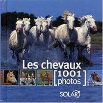 Les chevaux : 1001 Photos