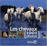 Les chevaux : 1001 Photos