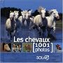 Les chevaux : 1001 Photos
