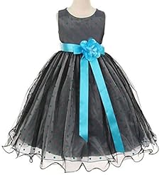 Polka Dot Print Tea Length Mesh Organza  Dress With a Sash 