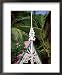 Mustique Grenadines St. Vincent and the Grenadines Framed Art Poster Print, 18x22