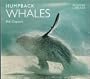 Humpback Whales (Worldlife Library)
