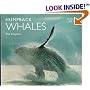 Humpback Whales (World Life Library)