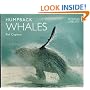 Humpback Whales (World Life Library)