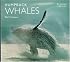 Humpback Whales (World Life Library)
