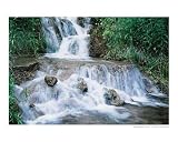 Water Fall Plateau Still Life Photographic Poster Print by Lori McAllister, 10x8