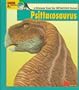 Looking At-- Psittacosaurus: A Dinosaur from the Cretaceous Period (The New Dinosaur Collection)