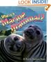 What is a Marine Mammal? (The Science of Living Things)