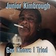God Knows I Tried