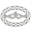 Sterling Silver Claddagh and Knot Pin
