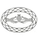 Sterling Silver Claddagh and Knot Pin