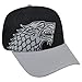 Game of Thrones House Stark HBO TV Dragon Two Tone Adjustable Snapback Hat Cap