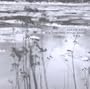 This River Only Brings Poison