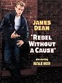 Rebel Without a Cause