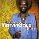 The Marvin Gaye Story by Marvin Gaye