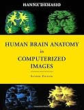 Human Brain Anatomy in Computerized Images
