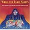 Wonderful Native American music