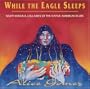 While the Eagle Sleeps