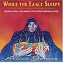 While the Eagle Sleeps