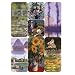 Boston International Metropolitan Museum Of Art Magnets: Monet