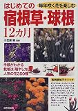 はじめての宿根草・球根12カ月―毎年咲く花を楽しむ 手順がわかる栽培法・殖やし方と人気の花350種