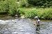 Wallmonkeys Peel and Stick Wall Decals - Fly Fishing - Removable Graphic