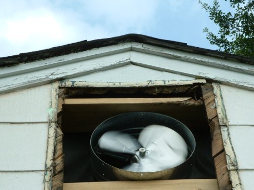 large image