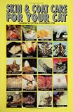 Skin and Coat Care for Your Cat