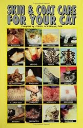 Skin and Coat Care for Your Cat