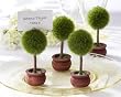Placecard Holders Topiary Photo (6 sets of 4 per order) Wedding Favors