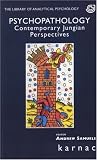 Psychopathology: Contemporary Jungian Perspectives (Library of Analytical Psychology)