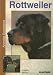 Rottweiler (Animales Domesticos)