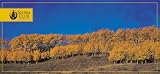 Pomegranate Forests Panoramic Boxed Note Card Set (Pack of 2)