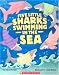 Search : Five Little Sharks Swimming in the Sea