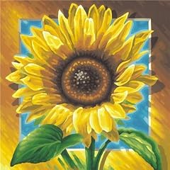Schipper 9250 411 - Malen nach Zahlen, Sonnenblumen, 40x40 cm