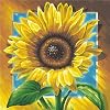 Schipper 9250 411 - Malen nach Zahlen, Sonnenblumen, 40x40 cm