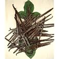 BUY : Premium Bourbon-Madagascar Vanilla Beans - 16 beans