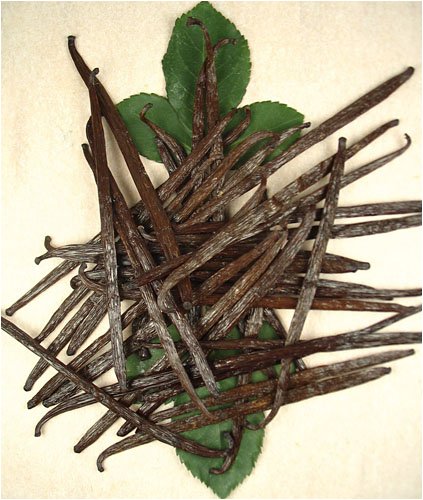 Childrens Toyshop  Gourmet Food : Premium Bourbon-Madagascar Vanilla Beans - 16 beans