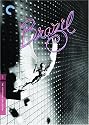 Brazil - The Criterion Collection - (Single Disc Editon)