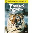 National Geographic's Tigers of the Snow