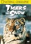 National Geographic's Tigers of the Snow