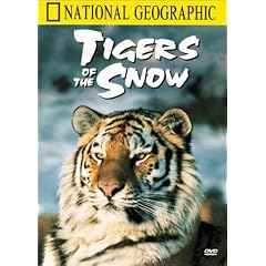 National Geographic's Tigers of the Snow by 