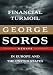 Financial Turmoil in Europe and the United States: Essays