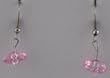 Watermelon Saucer Earrings