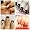 ANG 3D French Nail Film/Sticker - French Twist