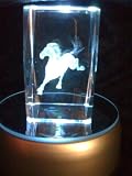 Laser Etched Crystal Cube Horse Running
