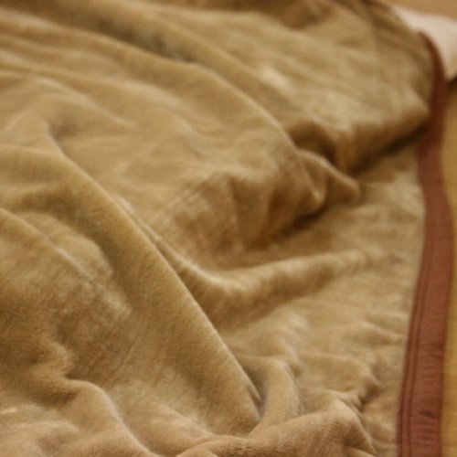 【ベージュ】なめらかタッチのフランネルニューマイヤー毛布　クイーンサイズ　200x230cm