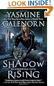Shadow Rising (An Otherworld Novel)