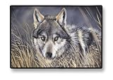 Wolf Wolves in Wild Indoor/outdoor Doormat Rug Mat