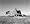 Julius Shulman: Modernism Rediscovered